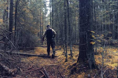 Купить диплом Егеря, лесника в Евпатории