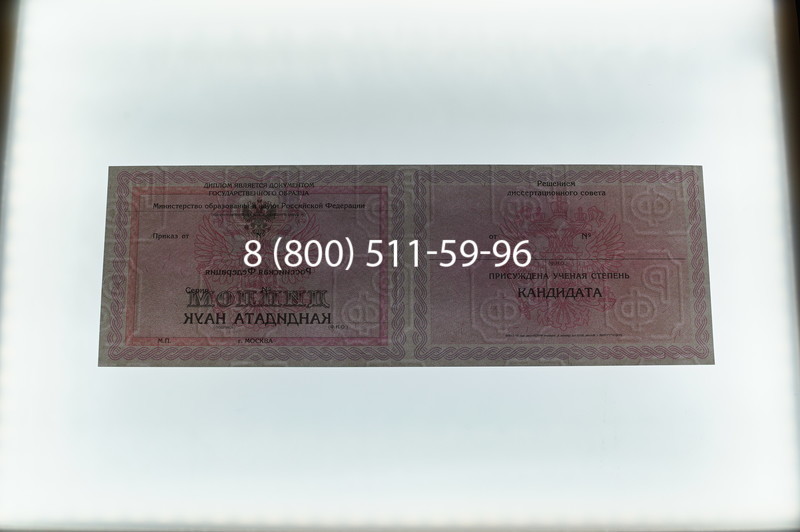Заказать Диплом кандидата наук 2010 в Евпатории